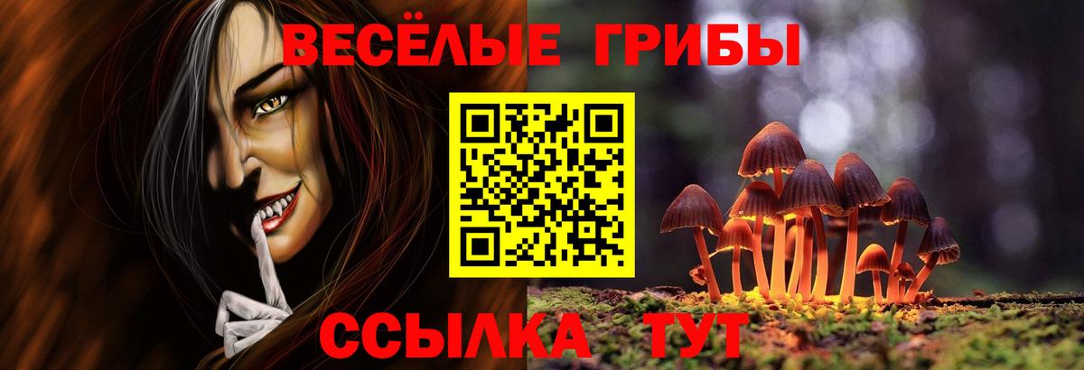 Волхов  Галлюциногенные грибы мухоморы  Галлюциногенные грибы Psilocybine cubensis  Вход с VPN 